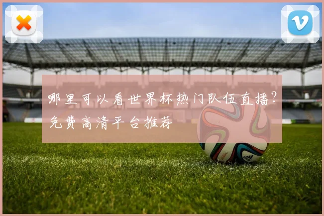 哪里可以看世界杯热门队伍直播?免费高清平台推荐