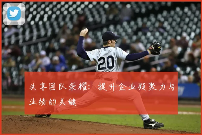 共享团队荣耀：提升企业凝聚力与业绩的关键