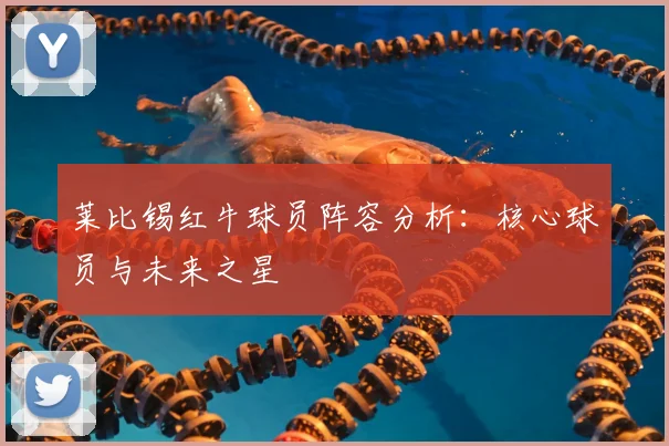 莱比锡红牛球员阵容分析:核心球员与未来之星